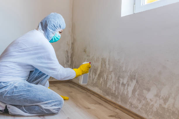Licensed Mold Testing service in Dumfries, VA - WQB Mold Removal