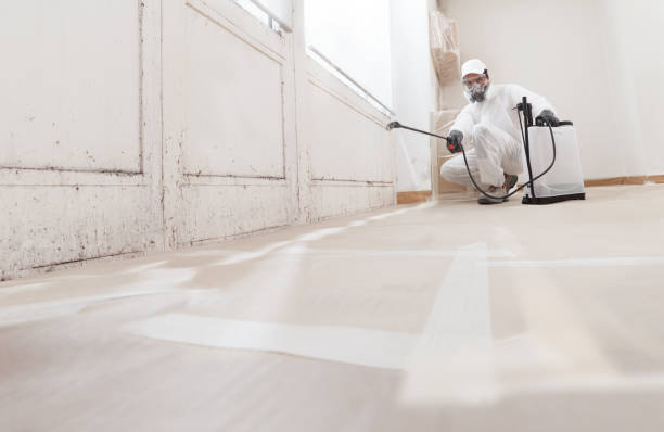 24/7 Emergency Mold Testing experts in Dumfries, VA