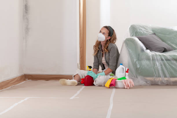 Reliable Mold Testing contractor in Dumfries, VA by WQB Mold Removal