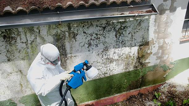 Top rated local Mold Testing specialists in Dumfries, VA